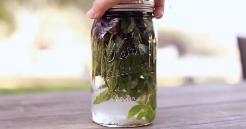 Making Herbal Beverages and Infusions to Take Care of Oneself