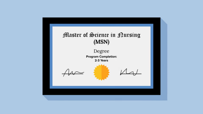 Master of Science in Nursing (MSN)